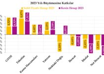 Reel GSYH Büyümesine Alt Bileşenlerin Katkısının Hesaplanması: 2022 ve 2023 Yılları Reel GSYH Büyümesine Alt Bileşenlerin Katkısının Hesaplanması: 2022 ve 2023 Yılları