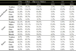 Asgari Ücret Problemini Nasıl Çözebiliriz? 2024-
