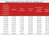 Sektörlere Göre İstihdam Başına Katma Değer: 2021-2024/Q1 Sektörlere Göre İstihdam Başına Katma Değer: 2021-2024/Q1