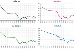 Türkiye İçin Gelir Eşitsizliği Tahmini
