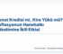 Konut Kredisi mi, Kira Yükü mü? Enflasyonun Hanehalkı Tüketimine İkili Etkisi